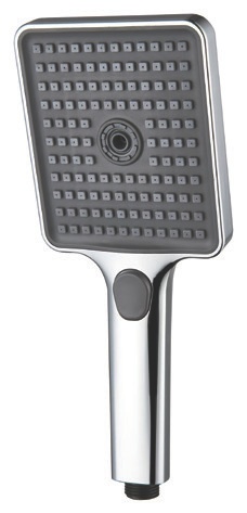 BHS11002